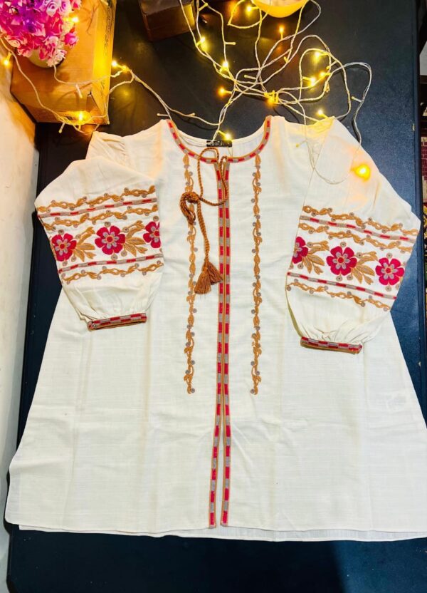 Almirah : Outfit Type: 1-Piece Shirt